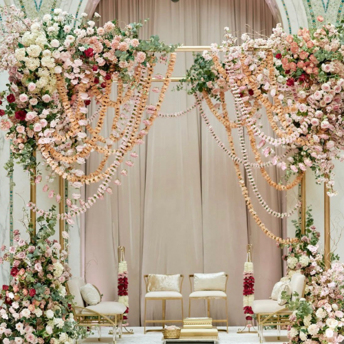 Image 2026 02 25 08 03 50